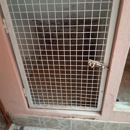 Beach,surf, Hiking And Масейра