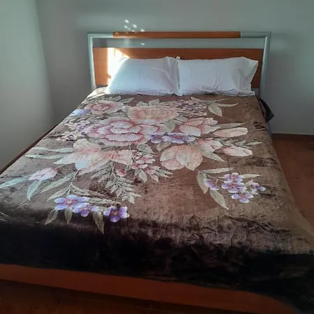 Beach,surf, Hiking And ホームステイ